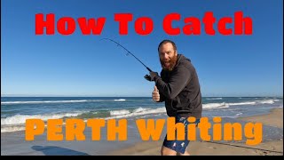 HOW to catch WHITING on PERTH beaches [upl. by Meletius]