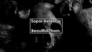 Sopor Aeternus  Beautiful Thorn Lyrics  Letra [upl. by Carlye150]