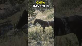 Extremely Rare Hores in Red Dead Redemption 2 rdr2 gaming eastereggs [upl. by Barret204]