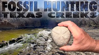 Fossil Hunting North Texas Creeks  Feb  2023 [upl. by Adnohrahs]