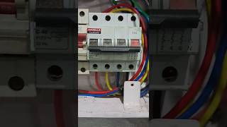 mcb  TPN mcb  DP mcb  SP mcb miniature circuit breaker [upl. by Toddy]