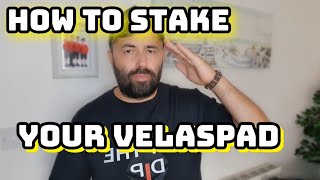 How to stake your VelasPad for Velas rewards with low fees [upl. by Gelb826]