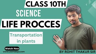 Life Process  Transportation in Plants  Class 10  By Rohit Thakur [upl. by Gridley]