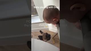 Baby playing with Dog 🐕 Happy Babies Kidz View 💕 happybabieskidzview [upl. by Aidam50]