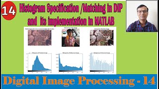 Histogram MatchingSpecification in Digital Image Processing with example and perform in MATLABDIP [upl. by Nnylanna]