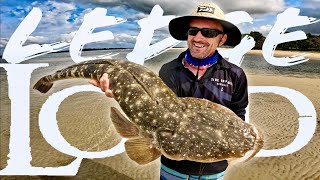 GIANT FLATHEAD  A Catch Of A Lifetime [upl. by Clement748]