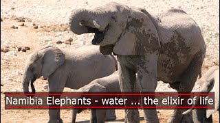 Fascination Namibia 3  Etosha Elephants  water  the elixir of life [upl. by Arsuy165]