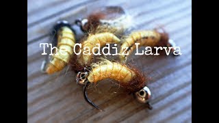 Caddiz Larva [upl. by Notloc]