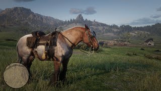 Red Dead Redemption 2 How To Get The Ardennes Bay Roan Horse [upl. by Alphonsine]