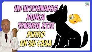 🔴 LAS DOS RAZAS DE PERROS QUE LOS VETERINARIOS NUNCA TENDRÍAN EN CASA 🐶 [upl. by Winzler]