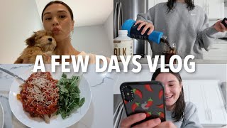 VLOG a few days in my life cooking hanging out etc [upl. by Noiram]