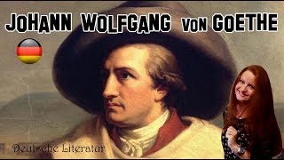 Deutsche Literatur 8  Johann Wolfgang von Goethe einfach erklärt [upl. by Dnomaid]