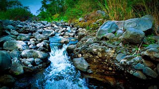 Soothing river flow Relaxing waterfall sounds Nature sound white noise for sleep [upl. by Angadreme982]