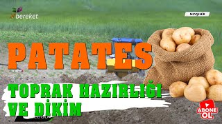 Tarım Sözlüğü  Patateste Toprak Hazırlığı ve Dikim [upl. by Ybeloc944]