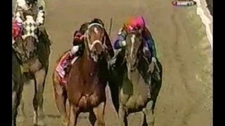 2002 Test Stakes  You vs Carson Hollow [upl. by Ennayar]