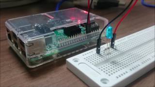 LED brightness control using PWM control on Raspberry Pi  Raspberry PiによるLED輝度のPWM制御 [upl. by Ennaus639]