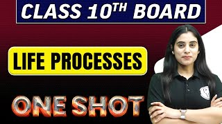 LIFE PROCESSES IN 1 SHOT  Class 10th Board Exams [upl. by Atte]