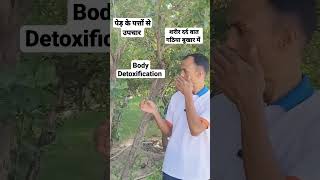 Body Pain amp Detoxification।youtubeshorts shortvideo shorts viral trending [upl. by Ehrman]