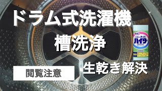 【掃除】ドラム式洗濯機 槽洗浄のやり方【生乾き・臭いを改善】 [upl. by Seely]