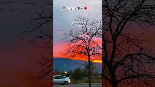 montanamoment sunset sunsetlovers montanalife autumn autumncolors shortvideo capcut [upl. by Innavoj]