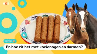 Worden frikandellen echt van paard gemaakt [upl. by Akila]