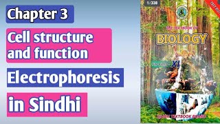 electrophoresis class 11 Class 11 biology chapter 3 cell structure and function [upl. by Rasmussen]