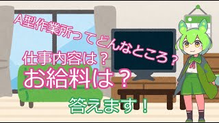 今まで行ってきた A型作業所の話 B型作業所の話 作業所の給料の話 これからについて [upl. by Hyozo]