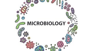 Escherichia Coli MicrobiologyPathology MBBS 3rdYear [upl. by Sofia]