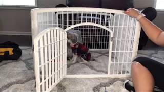 IRIS 24 4Panel Pet Playpen with Door [upl. by Ednargel]