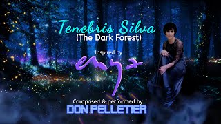 Enya  Tenebris Silva Inspired by Enya  Composed and performed by Don Pelletier [upl. by Immac]