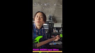 PEAVEY 6505 MH Japan Editionを使ってみた！！ [upl. by Power]