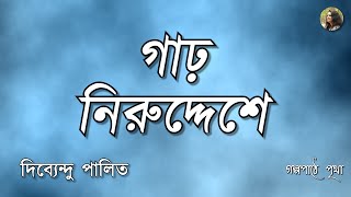 গাঢ় নিরুদ্দেশে  Garho Niruddeshe  দিব্যেন্দু পালিত  Dibyendu Palit  Bengali Audiobook  Pritha [upl. by Kucik]