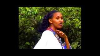 Ethiopian Amharic MusicGenet Masresha wollo [upl. by Avehsile246]