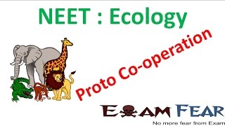 NEET Biology Ecology  Proto Cooperation [upl. by Tremml]