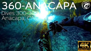 SCUBA 360 Anacapa  Anacapa Island CA 2024  4k Insta 360 X4 [upl. by Nemzzaj]