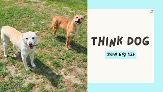 띵독Think Dog 24년 6월 소식 하나 [upl. by Perron]