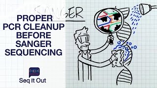 Proper PCR Cleanup before Sanger Sequencing  Seq It Out 12 [upl. by Ashly873]