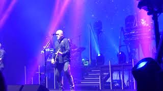 The Stranglers  Skin Deep Live at Brixton Academy London [upl. by Nichola]