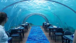 58 Undersea Restaurant at Hurawalhi Maldives Resort [upl. by Notsuh]