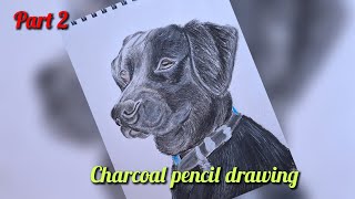 realistic dog drawing  how to draw dog [upl. by Annodas]