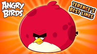 Angry Birds  Terences Best Lines [upl. by Bari]