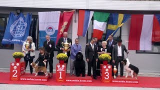 CACIB GORNJI MILANOVAC 2018 [upl. by Idel864]