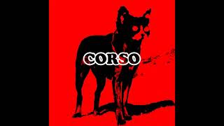 CORSO by Tyler the Creator if it was made by Ace and injected with WOLF [upl. by Kayley]