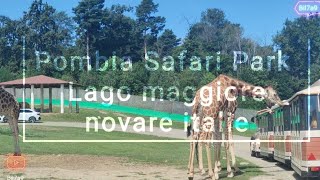 Safari Parc  Pombia italy [upl. by Ellecram]