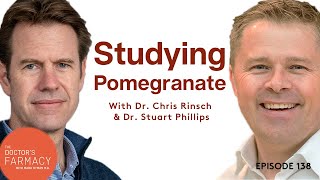 What’s Been Learned From Studying Pomegranate [upl. by Linda872]