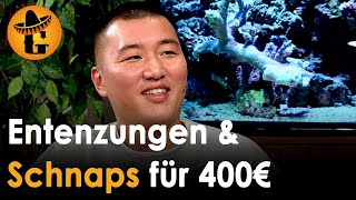 InstagramKoch Jing Chen Chinesische Delikatessen für Stermann amp Grissemann  Willkommen Österreich [upl. by Ahkos449]