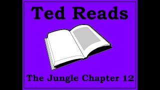 The Jungle Upton Sinclair Chapter 12 [upl. by Tarra400]