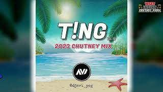 Dj Avi  TNG Vol 12 2023 Chutney Soca Mix [upl. by Longfellow276]