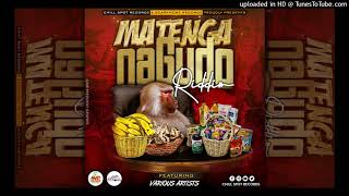 Matenga naGudo Riddim Mixtape chill spot records [upl. by Rehteh]