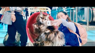 Cat amp Dog – The Great Crossing  Chien et chat 2024  Trailer English Subs [upl. by Naesed]